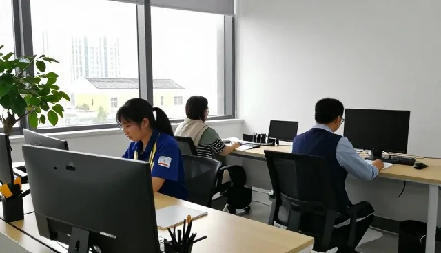 软件研发中性能优化与适用条件的平衡策略